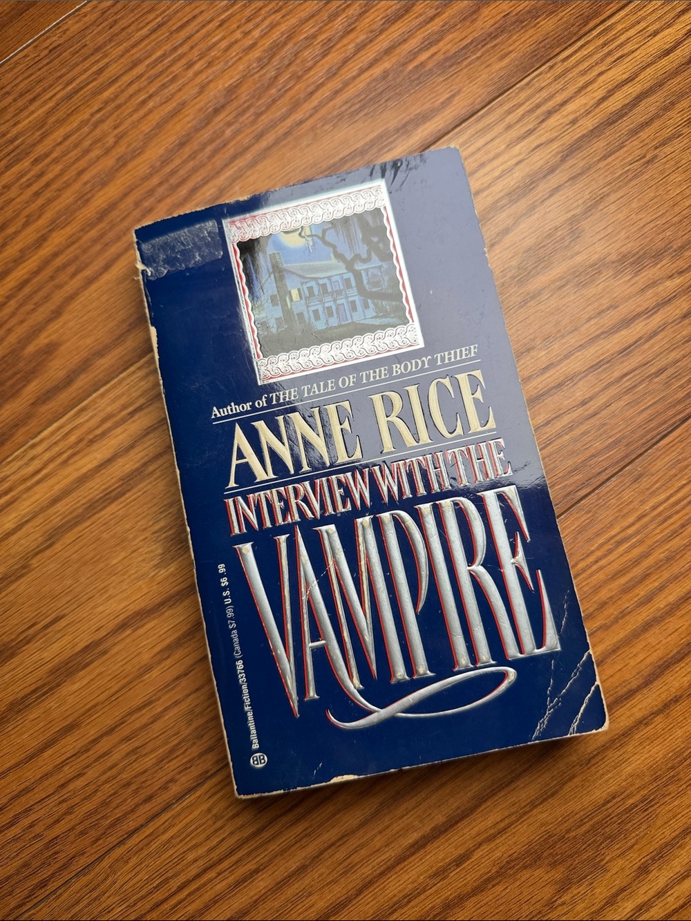 Interview with the Vampire Paperback Novel Book Anne Rice Spooky Halloween